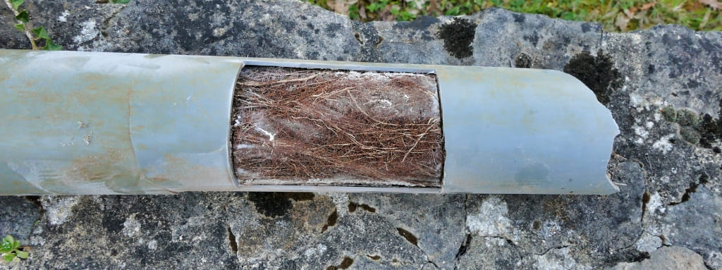 Blocked drain pipe cut open to show muck inside