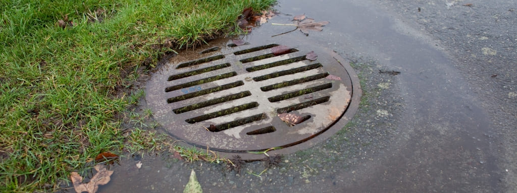 Storm water drain next to a lawn