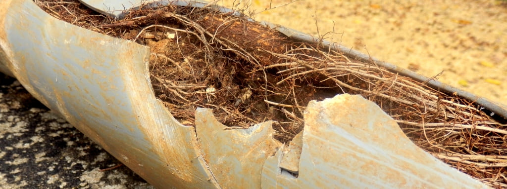 A badly cracked and blocked pipe